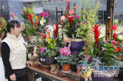 花藝大咖教你用花朵添“年味”，玩出禮品花卉新花樣