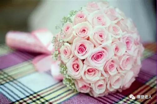 獻上祝福的花朵與旋律 送朋友一曲幸福之歌