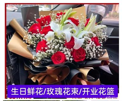 銀川興慶區(qū)解放西街 探尋蕁麻科植物的魅力與市場指南